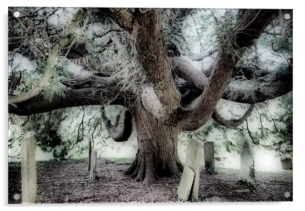 Graveyard Tree Acrylic by Karen Martin