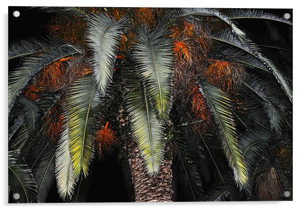 Date Palm Acrylic by Karen Martin
