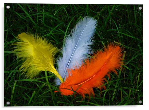 FEATHERS Acrylic by Ray Bacon LRPS CPAGB