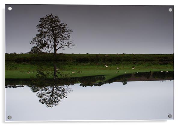 River Reflection Acrylic by Nikki Mc