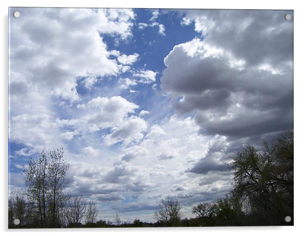 Clouds Acrylic by Don Brady