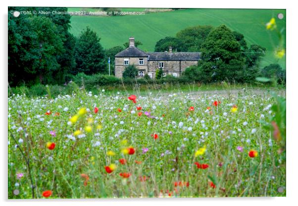 Flockton Flower Meadow  Acrylic by Alison Chambers