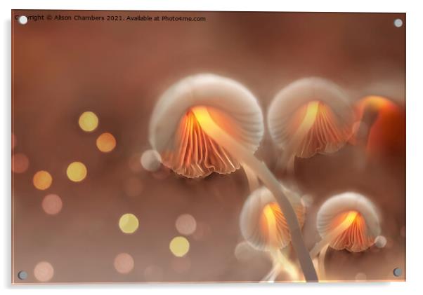 Bewitching Mushrooms Acrylic by Alison Chambers