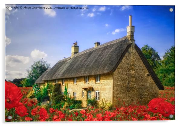 Poppy Field Cottage Acrylic by Alison Chambers