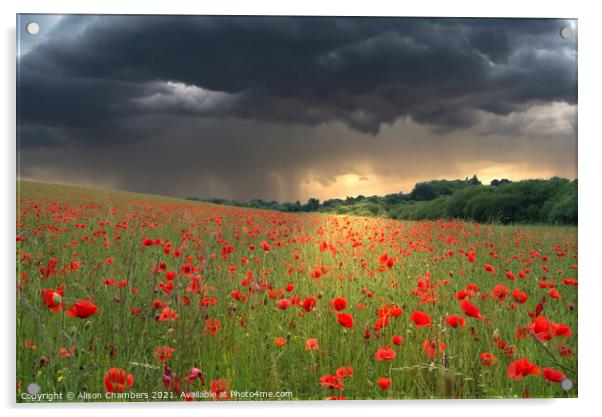 Poppy Field Storm Acrylic by Alison Chambers