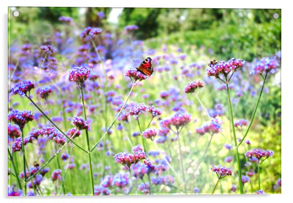 Verbena Butterfly Acrylic by Alison Chambers