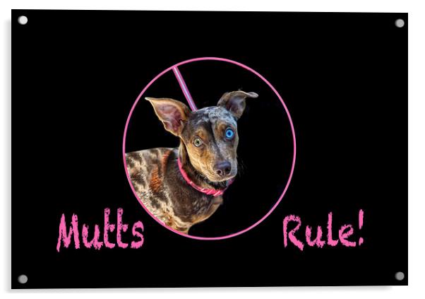 Mutts Rule! Acrylic by Alison Chambers