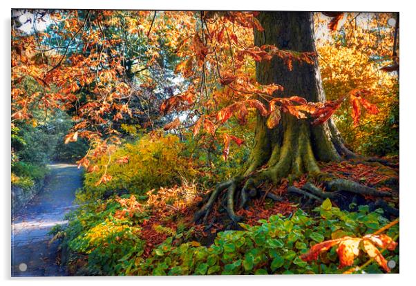 Sheffield Botanical Gardens Conker Tree Acrylic by Alison Chambers
