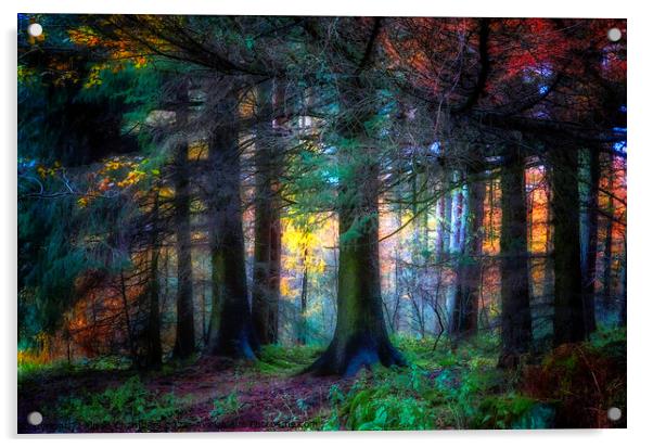 Colourful Autumn At Langsett Woods Acrylic by Alison Chambers