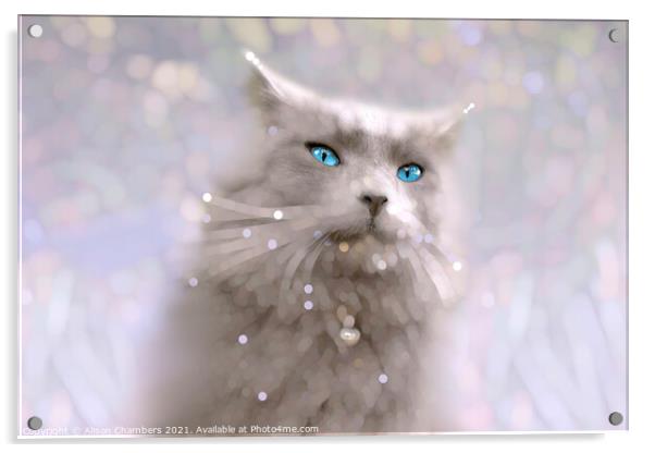 Blue Eyes Acrylic by Alison Chambers