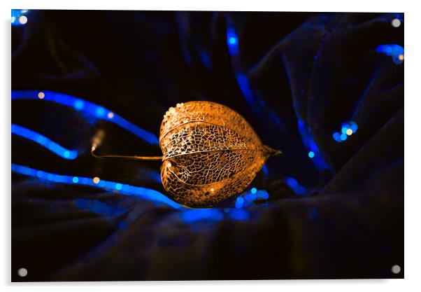 Golden Seed Pod on Blue Velvet Acrylic by Alison Chambers