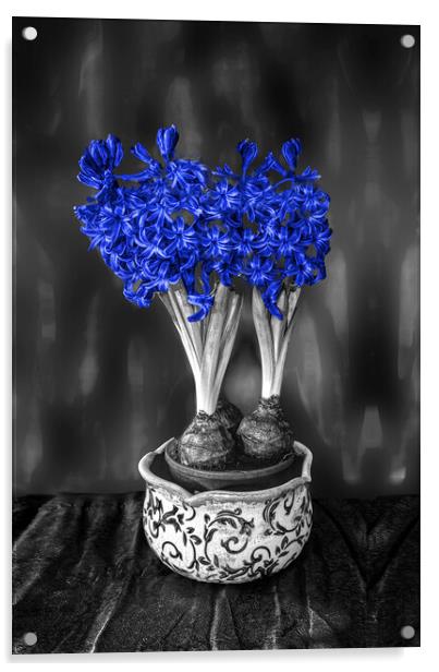 Blue Hyacinths  Acrylic by Alison Chambers
