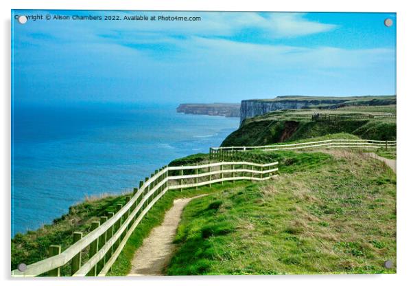 Flamborough Heritage Coast Cliffs Acrylic by Alison Chambers