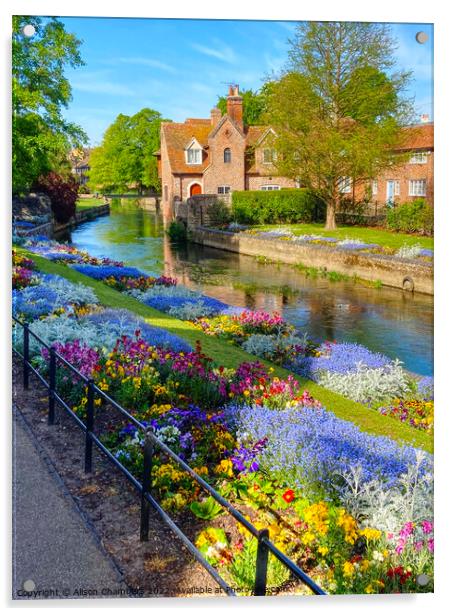 Canterbury Westgate Park Gardens Acrylic by Alison Chambers