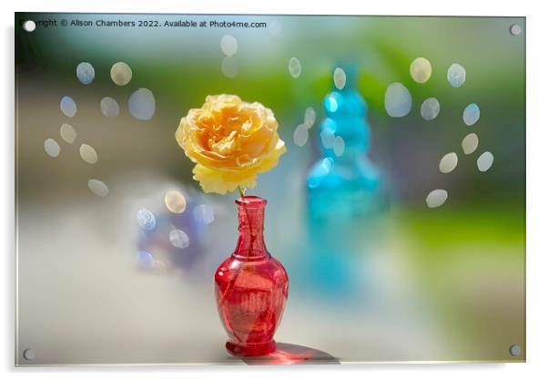 Single Yellow Rose Acrylic by Alison Chambers