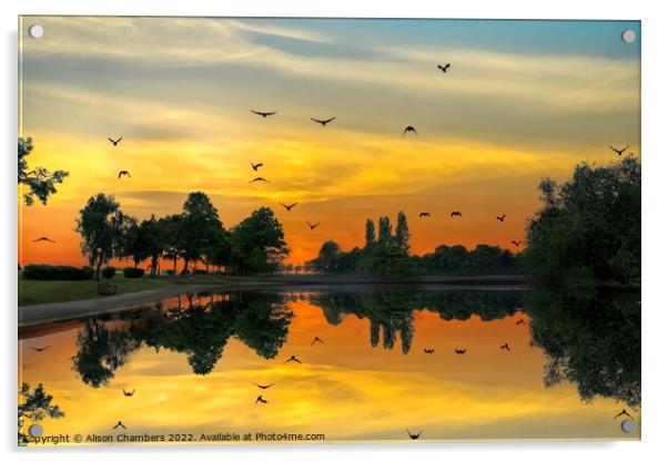 Pontefract Park Sunset Acrylic by Alison Chambers