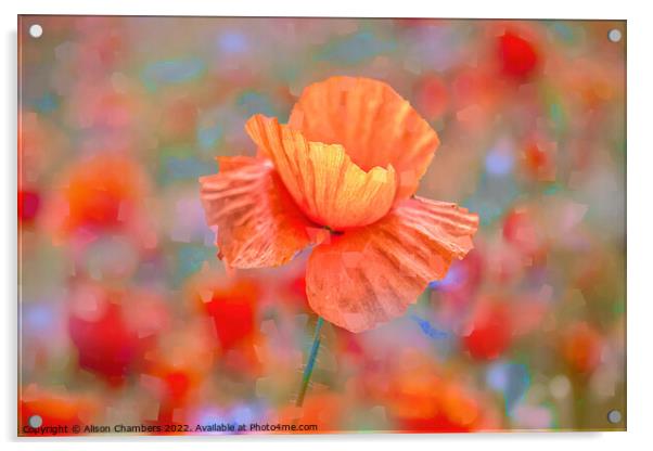 Poppy Flower Impressions Acrylic by Alison Chambers