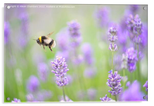 Flying  Bee Acrylic by Alison Chambers