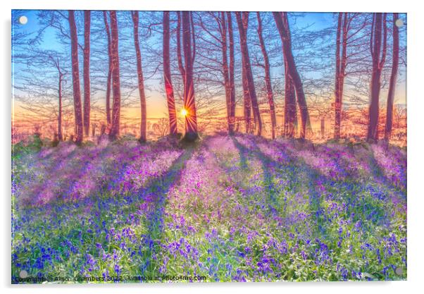 Sunrise Bluebells Acrylic by Alison Chambers