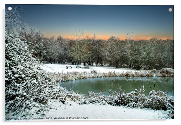 Snowy Landscape Barnsley  Acrylic by Alison Chambers