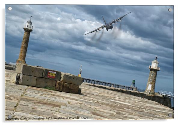 Whitby Hercules  Acrylic by Alison Chambers