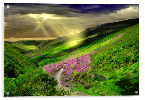 Peak District Heather Moor Acrylic by Alison Chambers