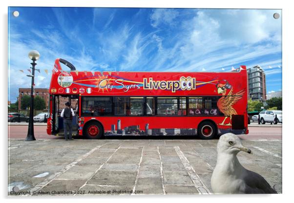 Liverpool Bus and Photobomber Acrylic by Alison Chambers