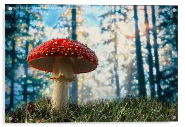Woodland Fly Agaric Toadstool Acrylic by Alison Chambers