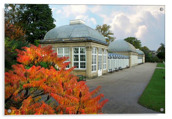 Sheffield Botanical Gardens Acrylic by Alison Chambers