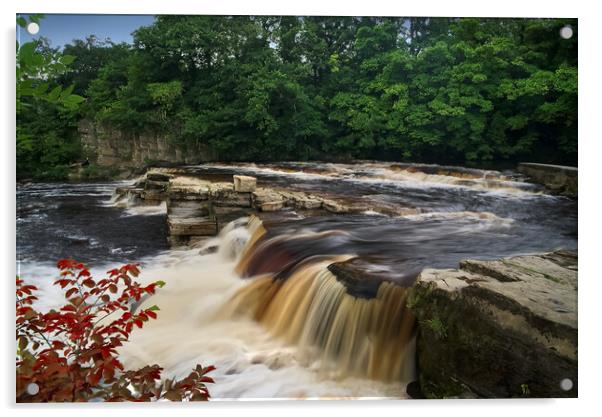 Richmond Falls Acrylic by Alison Chambers