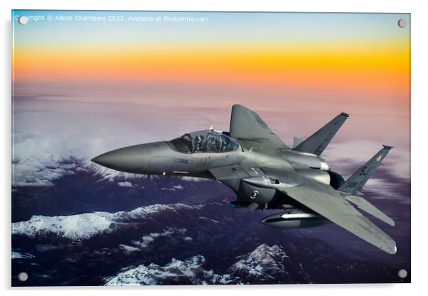 F15 Strike Eagle Acrylic by Alison Chambers