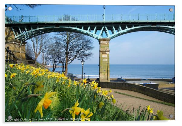 Scarborough Cliff Bridge and Daffodils  Acrylic by Alison Chambers