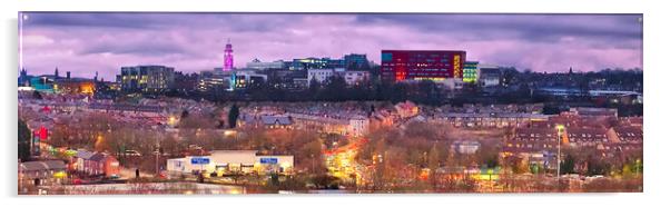 Barnsley Panorama Acrylic by Alison Chambers