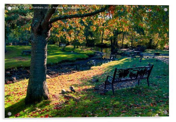 Low Bradfield in Autumn Acrylic by Alison Chambers