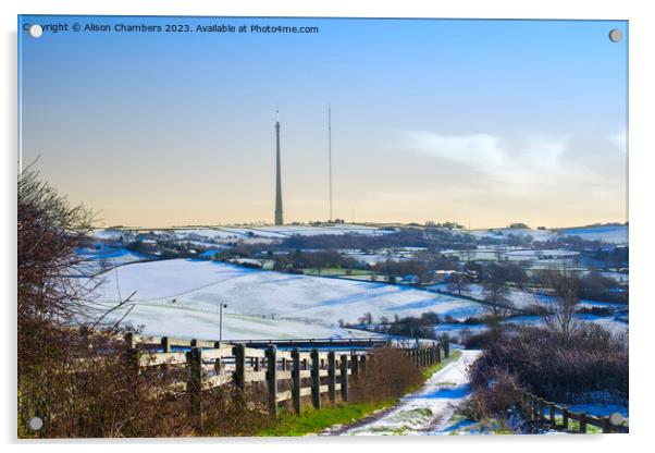 Emley Moor Mast Acrylic by Alison Chambers