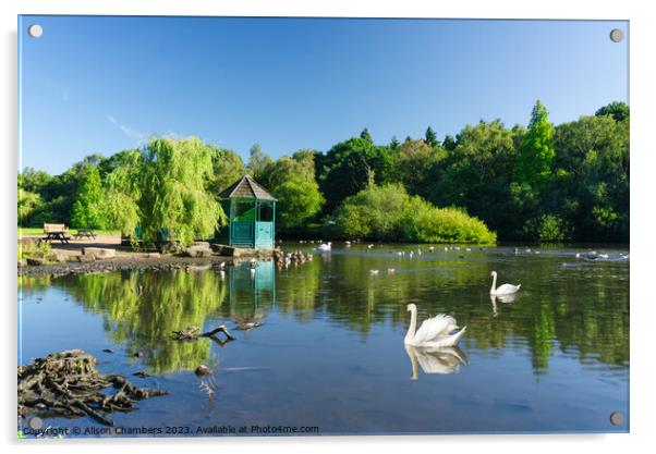 Golden Acre Park Leeds Acrylic by Alison Chambers