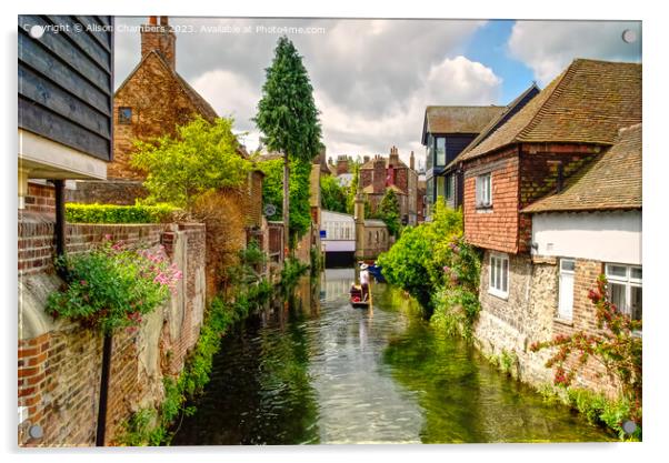 Canterbury River Stour Acrylic by Alison Chambers