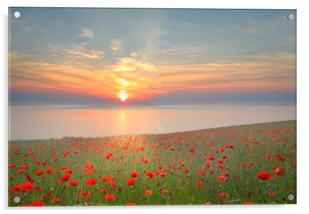 Yorkshire Coast Poppy Field Acrylic by Alison Chambers