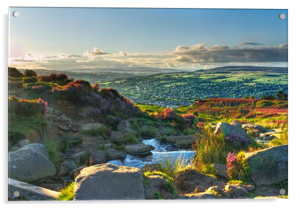 A Summer Evening on Ilkley Moor Acrylic by Alison Chambers