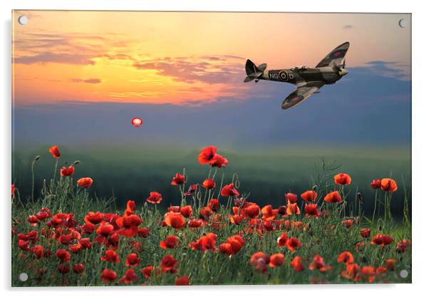 Spitfire Poppy Flight Acrylic by Alison Chambers