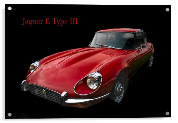 E Type Jaguar  Acrylic by Alison Chambers
