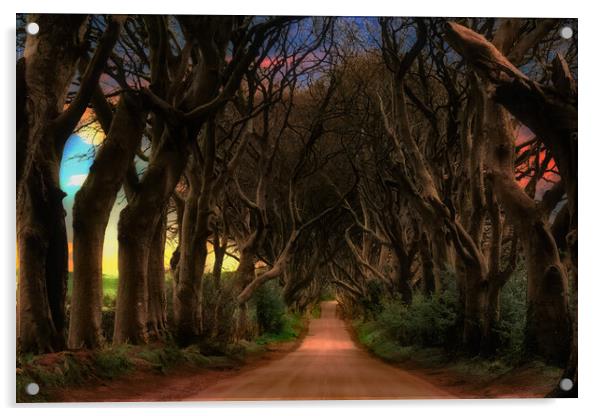 Dark Hedges  Acrylic by Alison Chambers