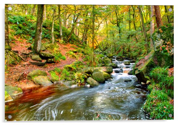 Padley Gorge Acrylic by Alison Chambers