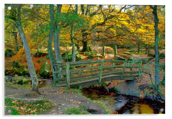 Padley Gorge Acrylic by Alison Chambers