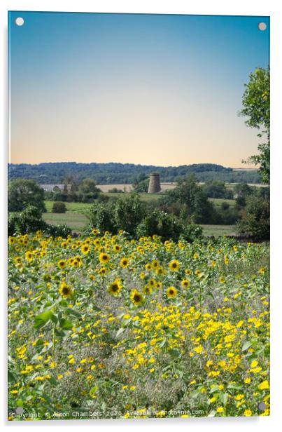 Wentworth Sunflowers and Windmill Acrylic by Alison Chambers