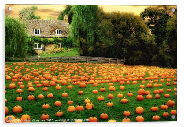 The Pumpkin Patch  Acrylic by Alison Chambers