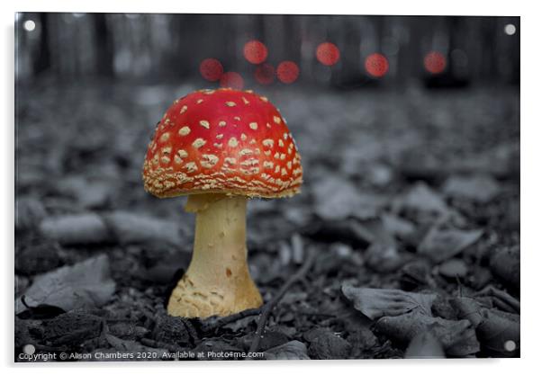 Fly Agaric Toadstool  Acrylic by Alison Chambers