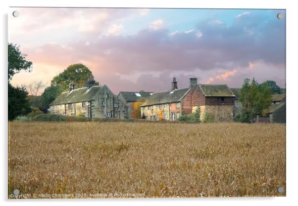 Jowett House Farm Barnsley  Acrylic by Alison Chambers