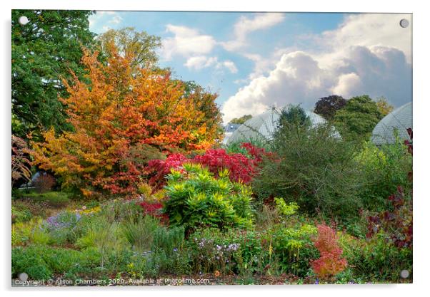 Sheffield Botanical Gardens Autumn Border Acrylic by Alison Chambers