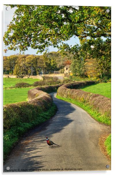 Country Pheasant Hemingfield Acrylic by Alison Chambers